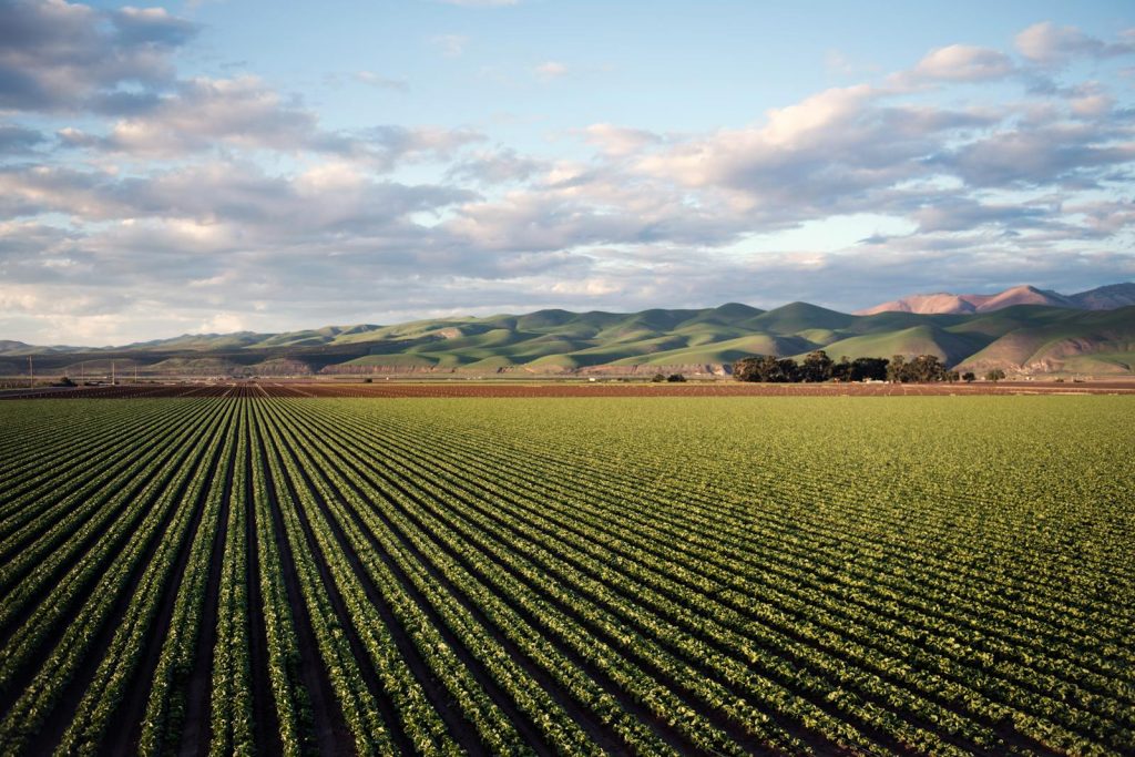 Galway Agriculture: AI Adoption in Farming for 2025