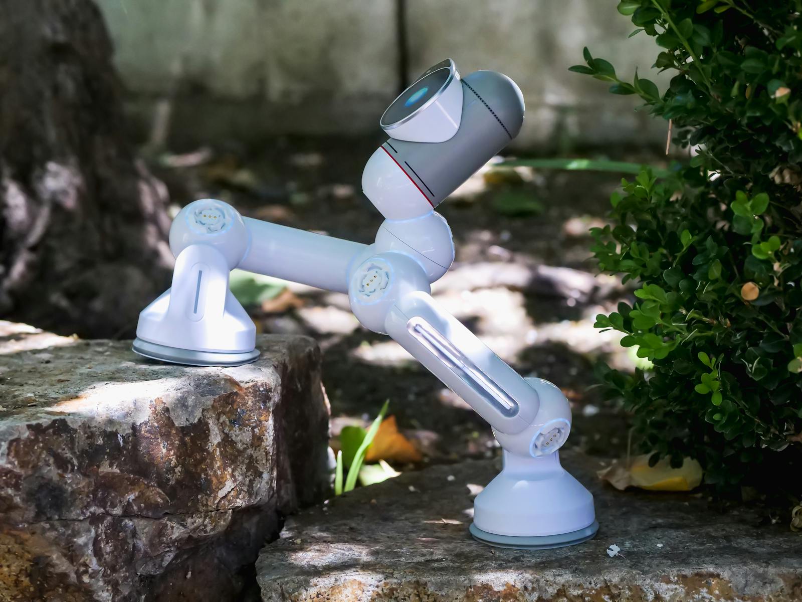 AI