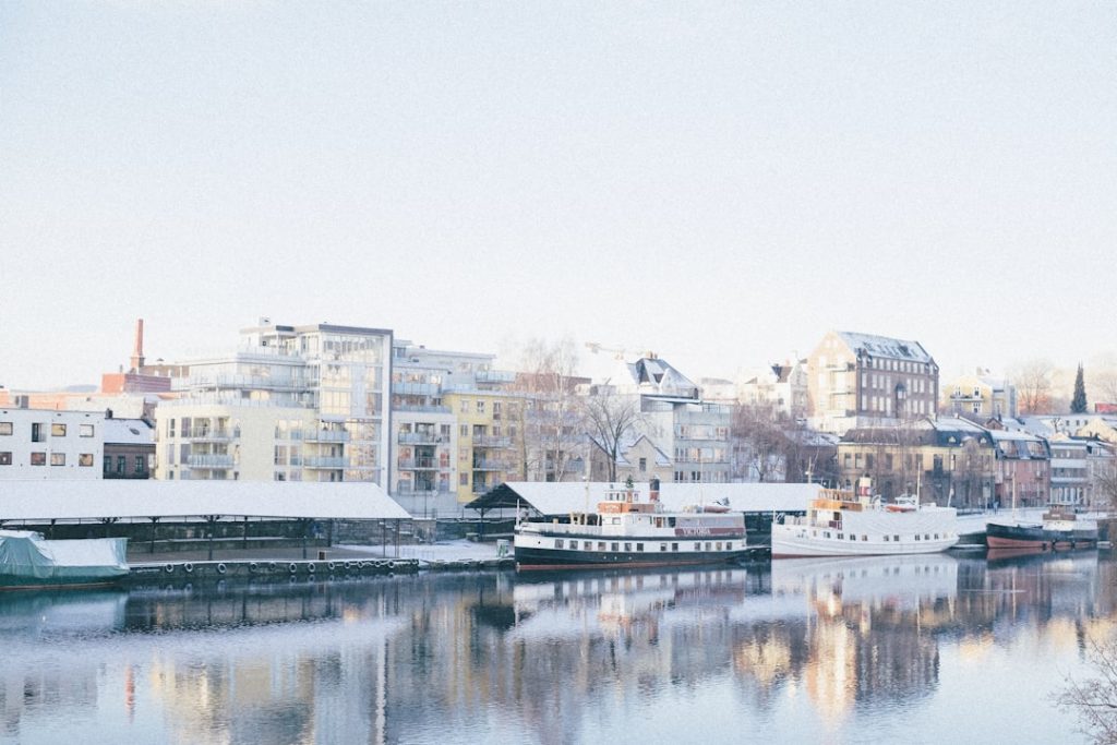 The Future of AI in Oslo: How Development Services Will Shape Business Growth