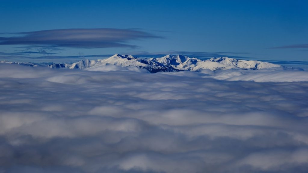 Norway’s Cloud Skills Gap: What CEOs Should Know